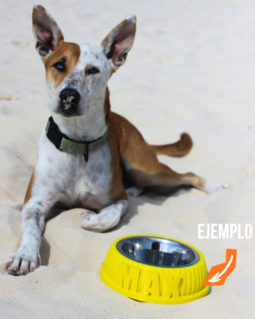 Bowl ¡Con el nombre de tu amo!