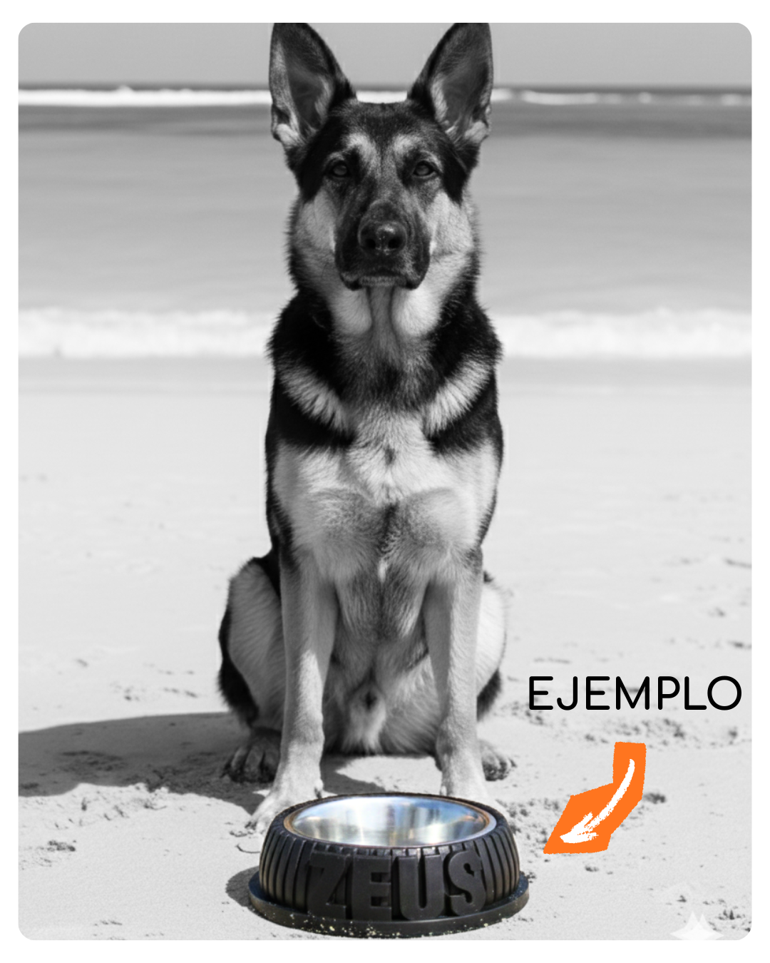 Bowl ¡Con el nombre de tu amo!