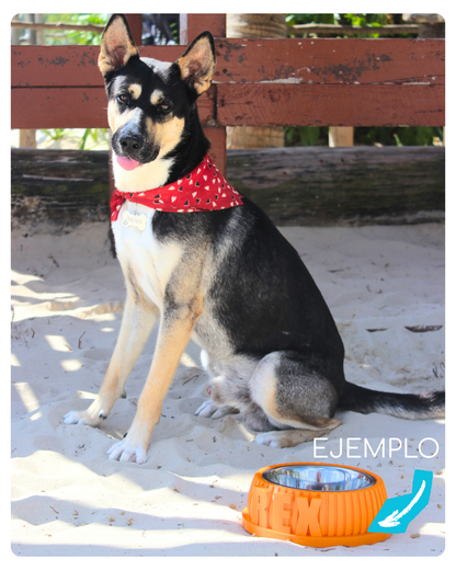 Bowl ¡Con el nombre de tu amo!