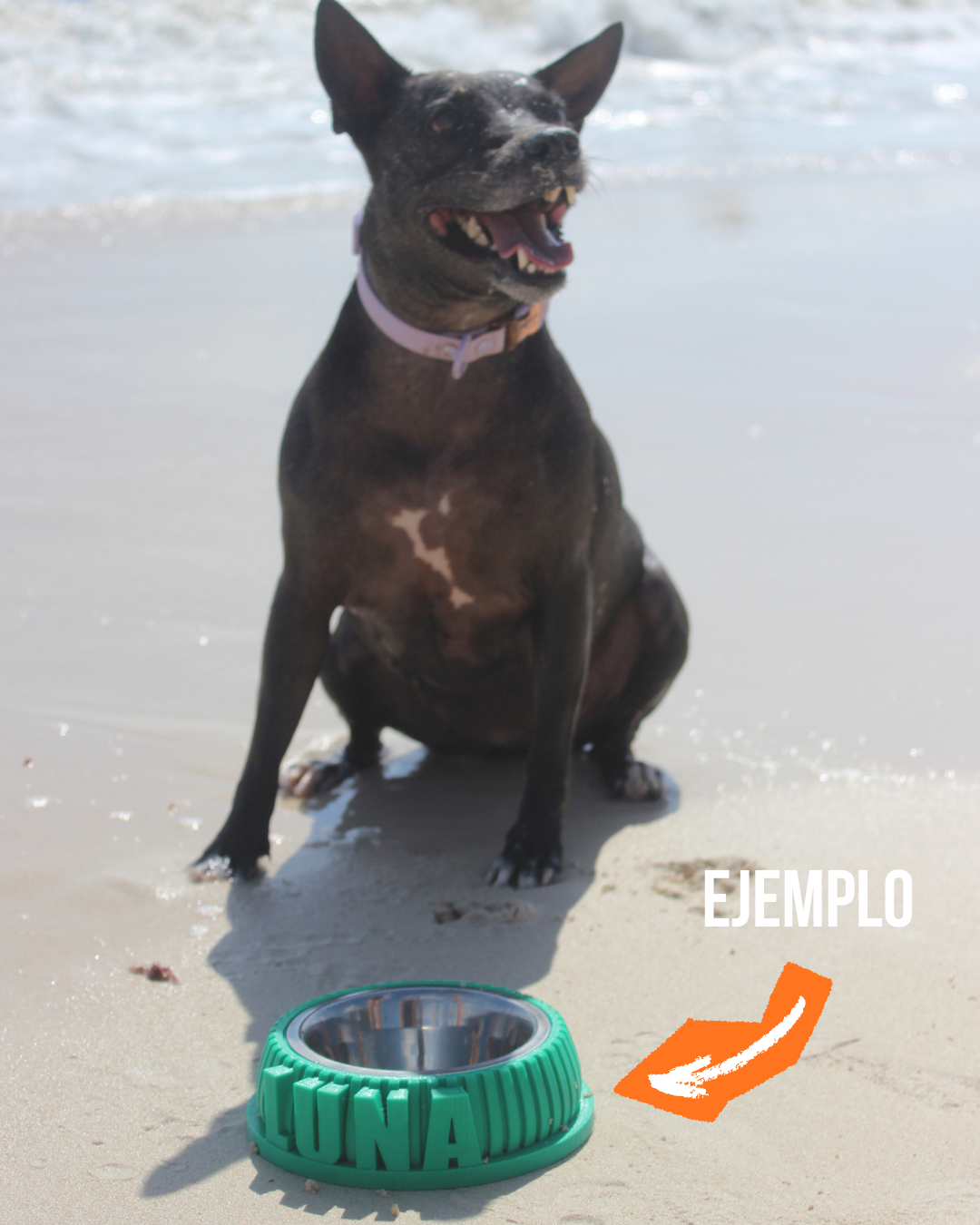 Bowl ¡Con el nombre de tu amo!