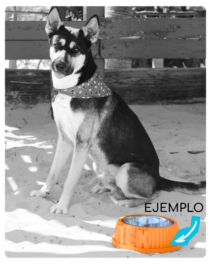 Bowl ¡Con el nombre de tu amo!