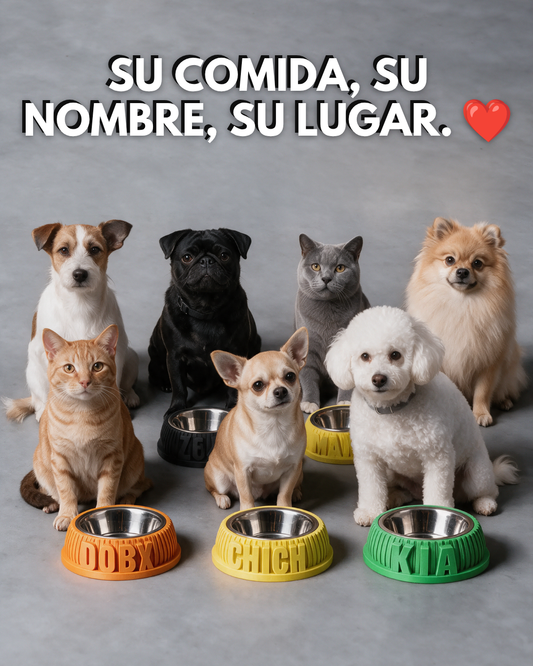 Bowl ¡Con el nombre de tu amo!