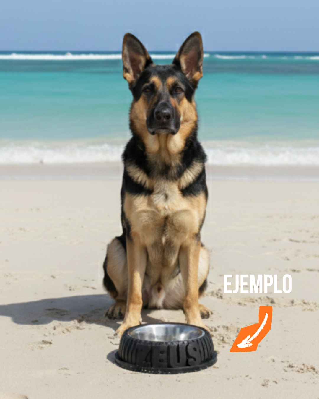 Bowl ¡Con el nombre de tu amo!