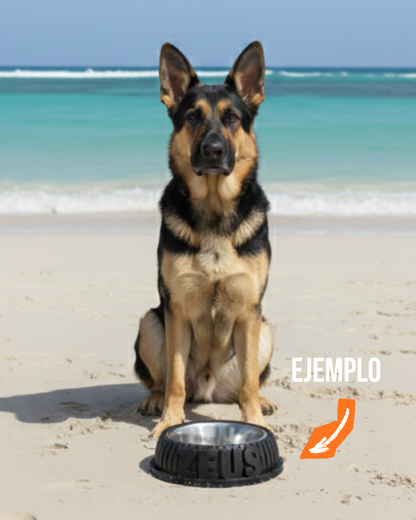 Bowl ¡Con el nombre de tu amo!